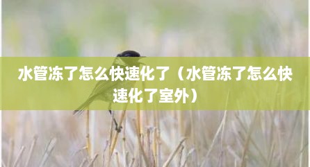 水管冻了怎么快速化了（水管冻了怎么快速化了室外）