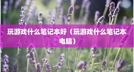 玩游戏什么笔记本好（玩游戏什么笔记本电脑）