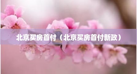 北京买房首付（北京买房首付新政）