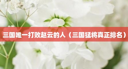 三国唯一打败赵云的人（三国猛将真正排名）