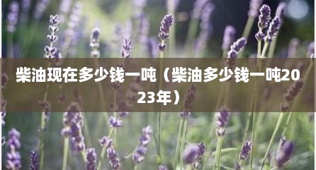 柴油现在多少钱一吨（柴油多少钱一吨2023年）