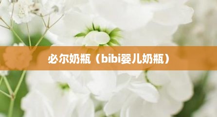 必尔奶瓶（bibi婴儿奶瓶）