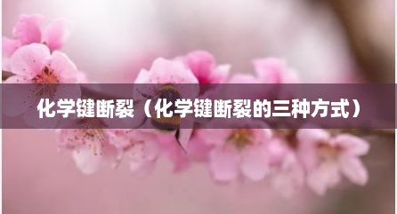 化学键断裂（化学键断裂的三种方式）