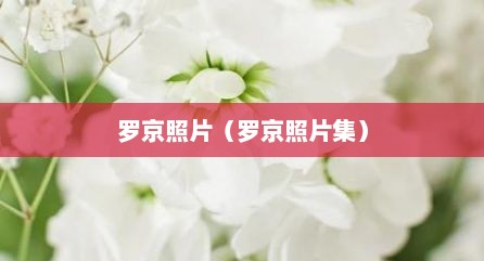 罗京照片（罗京照片集）