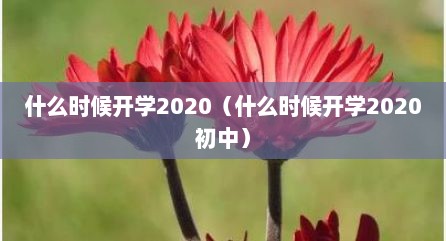 什么时候开学2020（什么时候开学2020初中）