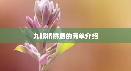 九眼桥桥震的简单介绍