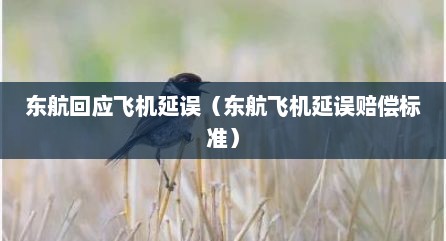 东航回应飞机延误（东航飞机延误赔偿标准）