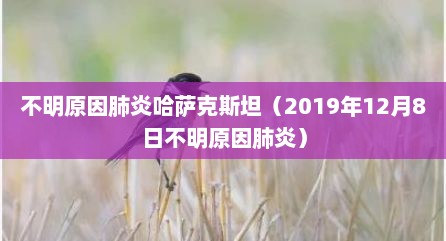 不明原因肺炎哈萨克斯坦（2019年12月8日不明原因肺炎）