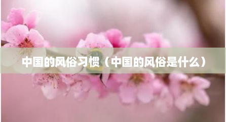 中国的风俗习惯（中国的风俗是什么）