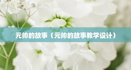 元帅的故事（元帅的故事教学设计）