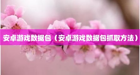 安卓游戏数据包（安卓游戏数据包抓取方法）