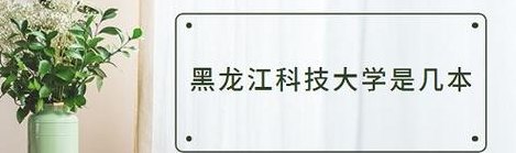 黑龙江科技大学瓜(黑龙江科技大学瓜：探索新型果蔬种植模式)