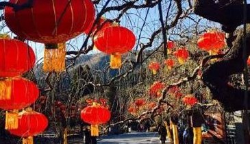 过年去哪里旅游最好(过年旅游推荐：这些地方最适合迎接新年！)