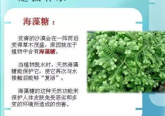 海藻糖是什么(了解海藻糖是什么，它的作用及用途)