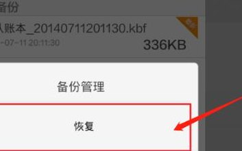 备份与恢复（备份与恢复怎么恢复不了）