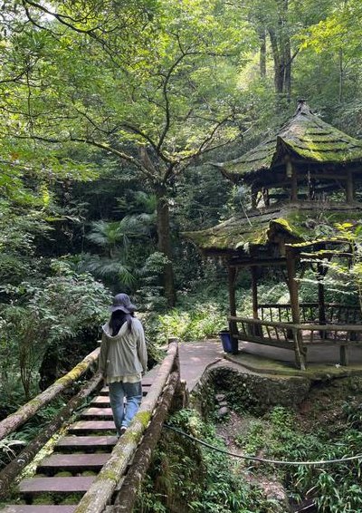 青城山后山(青城山次峰攀登记，一窥后山风景。)