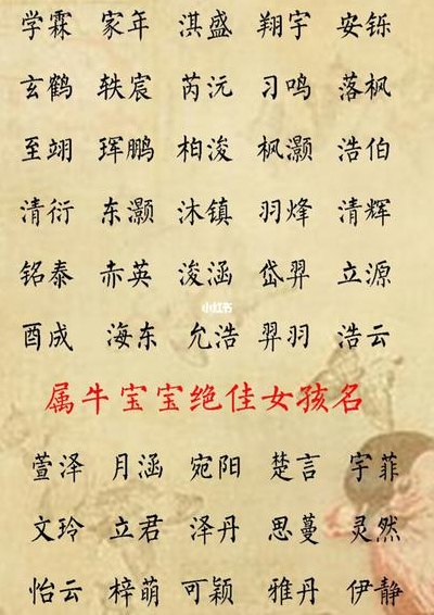 史上最牛的名字（史上最牛的名字大全）