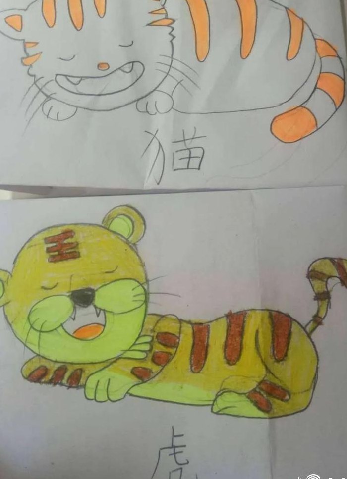 照猫画虎的意思(模仿猫咪的绘画技巧)