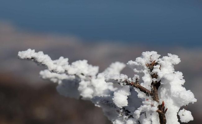 苍雪的世界(苍雪之境)