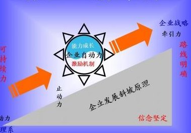 企业规模(企业规模扩大如何更好地管理？)