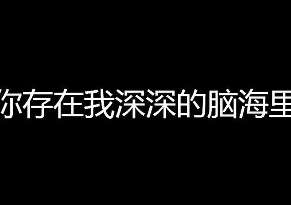 我存在你深深的脑海里(你在我心中)