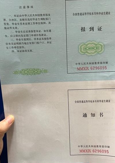 报到证查询(报到证查询方法及注意事项)