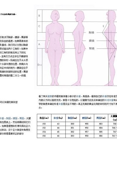 身材比例计算(身材比例的完美计算)