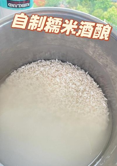 酒酿是什么(酒酿的制作方法及特点)