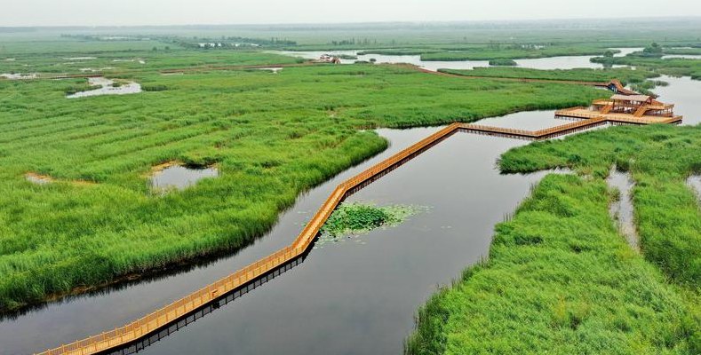 河北白洋淀(河北白洋淀自然湿地的宝藏)