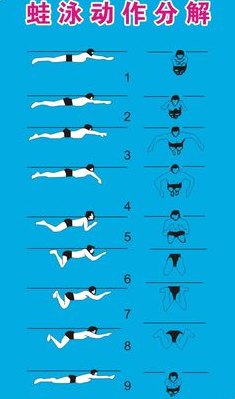 游泳姿势(改善游泳技术的关键姿势)