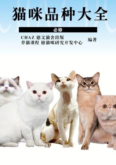 猫咪品种价格和图片（猫咪品种大全及市面价格）