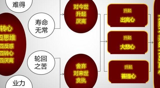 轮回和贪婪哪个好（轮回和贪婪哪个性价比高）