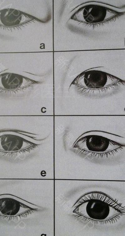 眼睛的几种类型及图片（眼睛的几种类型及图片大全）