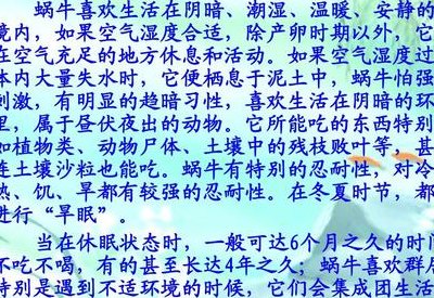 蜗牛喜欢吃什么（蜗牛吃什么才能养活）