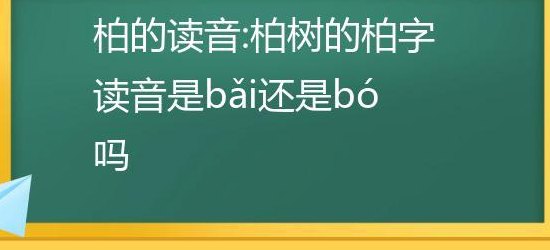 柏树读音（柏读bo还是bai）