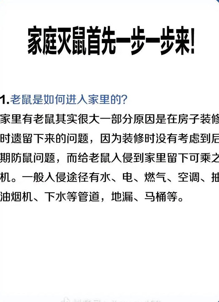 家庭怎样灭老鼠最有效（如何有效的灭杀家里的老鼠）