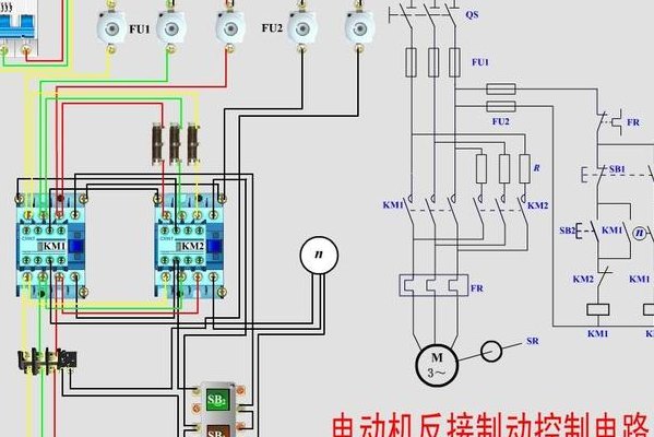 什么是电路（什么是电路图）