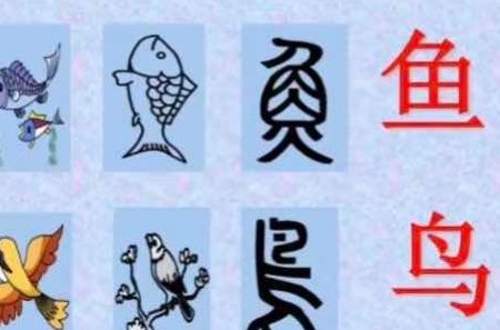 带鸟字旁的字（带鸟字旁的字都有什么字）