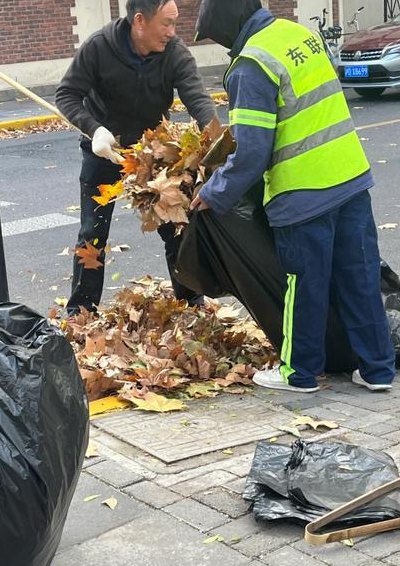 落叶是什么垃圾（落叶是什么垃圾?）