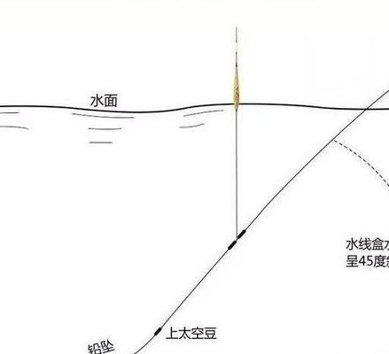 黑坑是什么意思（初学者钓鱼8个基本功）