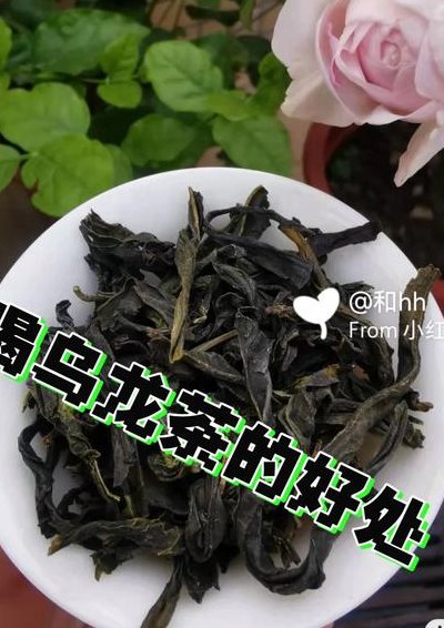 喝乌龙茶的禁忌（喝乌龙茶的利弊）