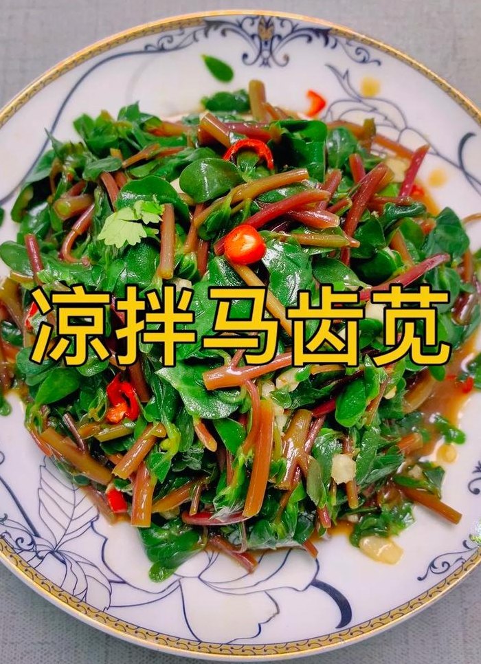 马齿菜的做法（马齿菜的做法大全）