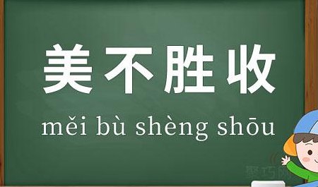 美不胜收的胜是什么意思（美不胜收的胜是什么意思呀）