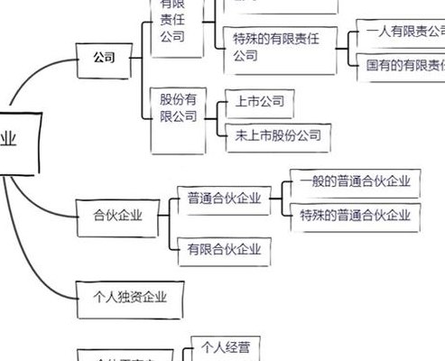 企业行业分类大全（企业行业类别怎么划分）