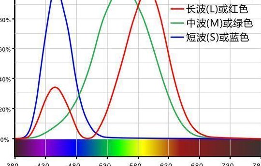 绿光波长（绿光波长为多少纳米）