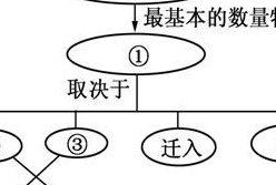 种群数量特征（种群数量特征之间的关系图解）