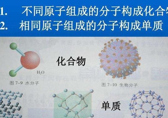 分子种类是由什么决定的的简单介绍