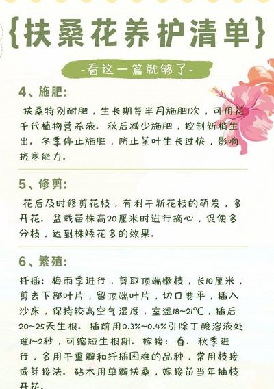 扶桑花的养殖方法（扶桑花的养殖方法和注意事顿）