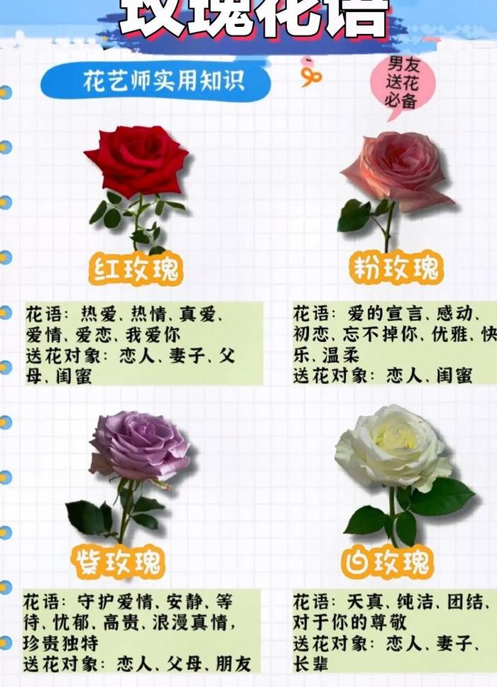 花花卡是什么意思（花花卡有什么用处）