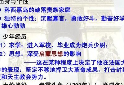 拿破仑简介（拿破仑简介100字）